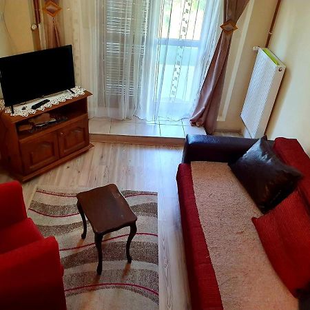 Appartamento Apartman Sergej 2 Soko Banja Esterno foto