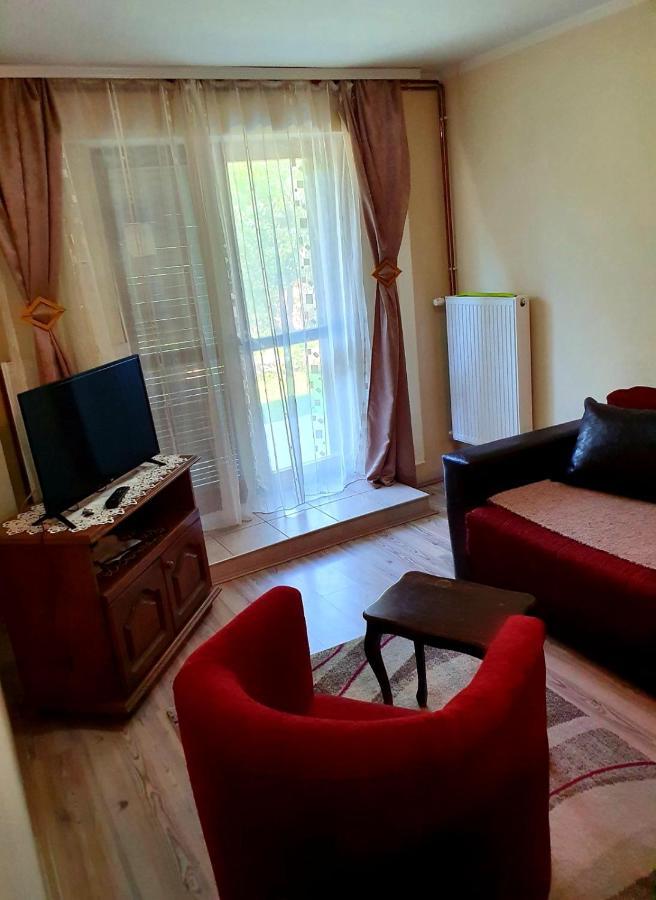 Appartamento Apartman Sergej 2 Soko Banja Esterno foto