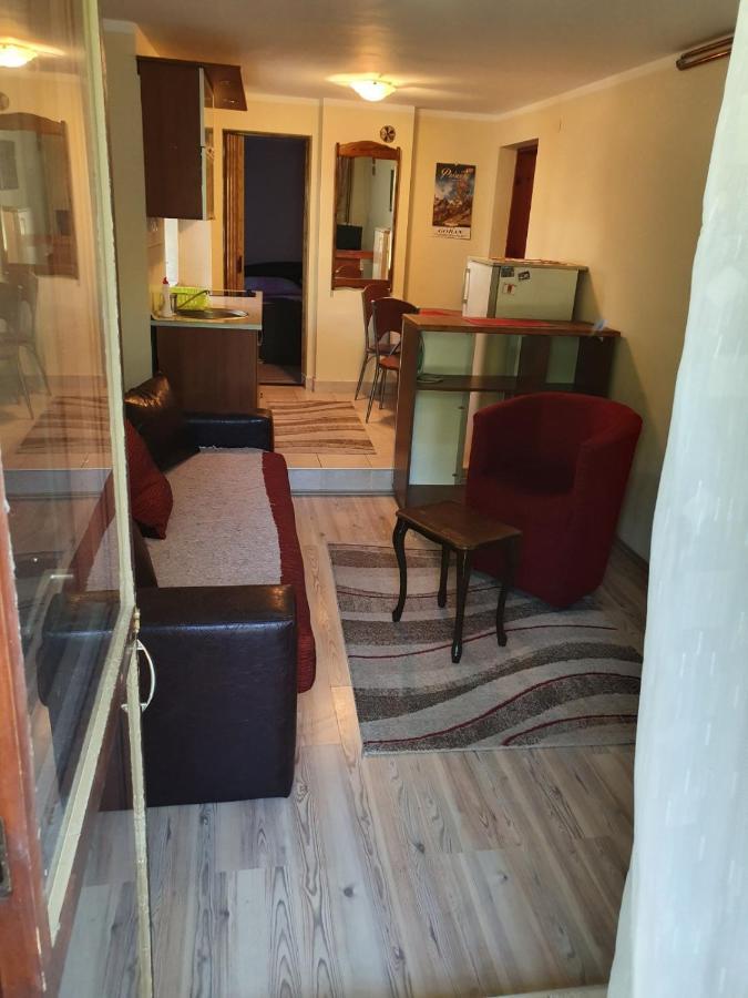 Appartamento Apartman Sergej 2 Soko Banja Esterno foto